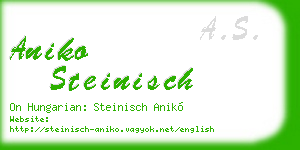 aniko steinisch business card
