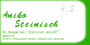 aniko steinisch business card